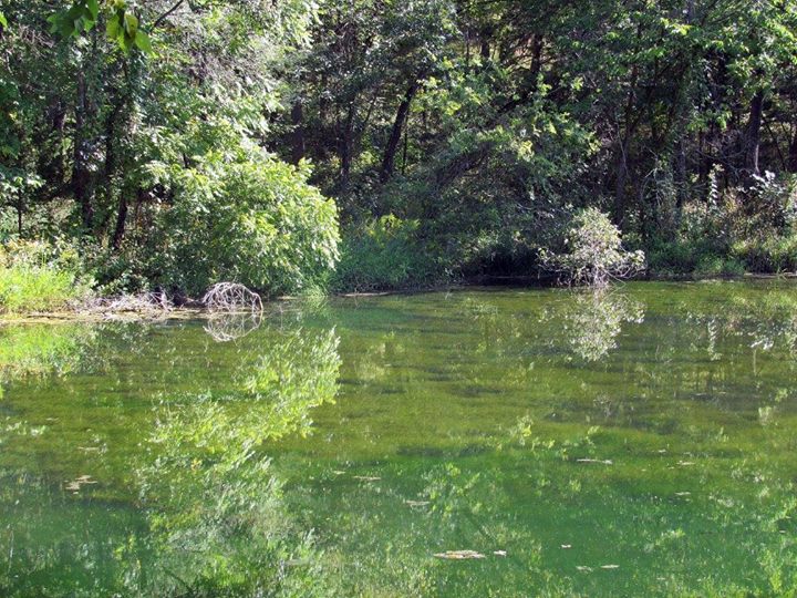 ItzaWayzBackcabin rentalcurrent riverSalem Mo