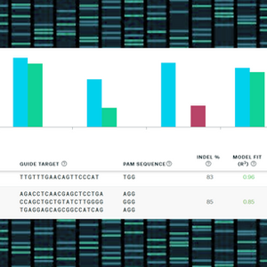 Inference of CRISPR Edits (ICE)