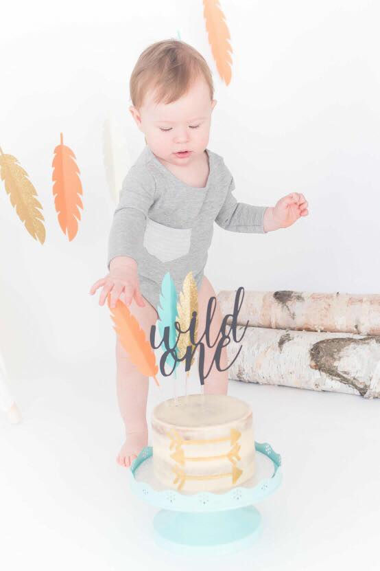 Wild One Cake Smash Theme