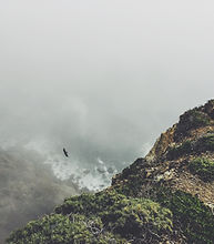 Una vista