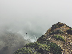 A View