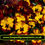 Thumbnail: PANSY "XL Fire Freefall" Trailing Autumn-Spring Flowering