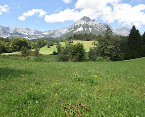 Baugrundstück