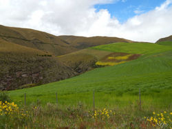 Paisaje Andino.