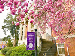 A Week At Wesleyan - Weekly Photo Recap Feb. 25 - March 1, 2019