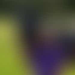 Mecklenburg earns Intercollegiate Equestrian Foundation Scholarship