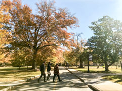 A Week At Wesleyan - Photo Recap Dec. 3-7