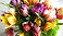 colorful flowers_edited
