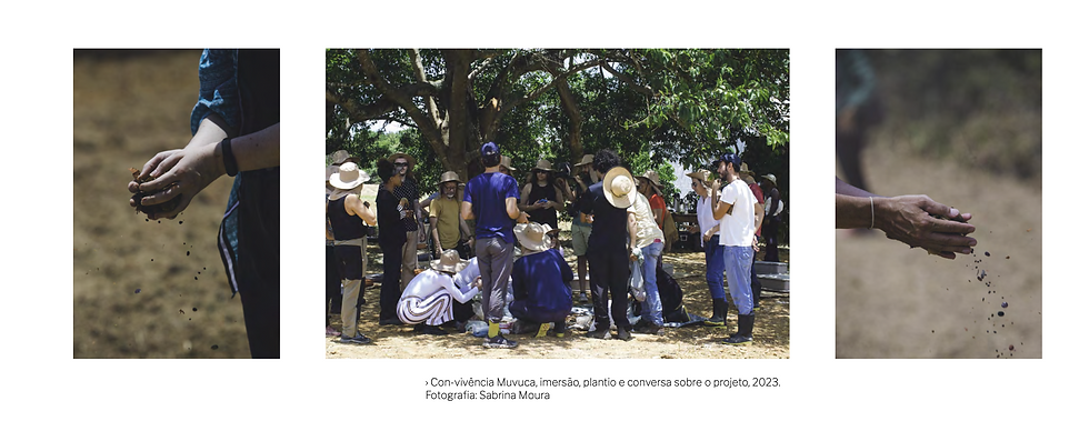 Simone Moraes: a longa aprendizagem das Convivências