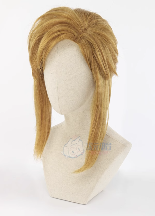 Thumbnail: Legend of Zelda - Link Hair