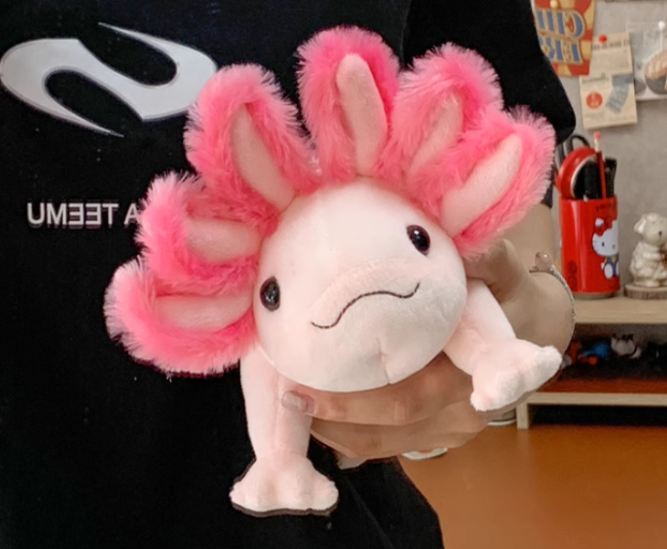 Thumbnail: Axolotl Plush Toy