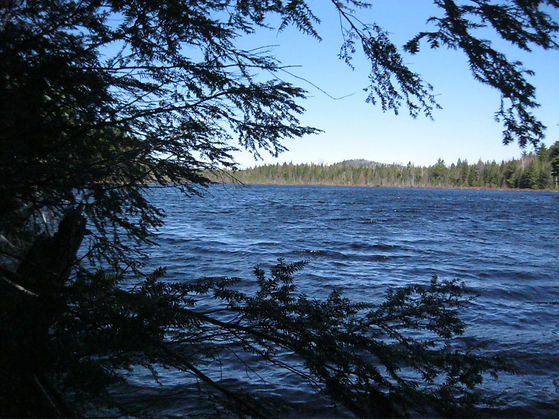 Ryanlakeground_23Apr22.jpg