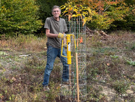 Meet the MLLT Native American Chestnut Trees!