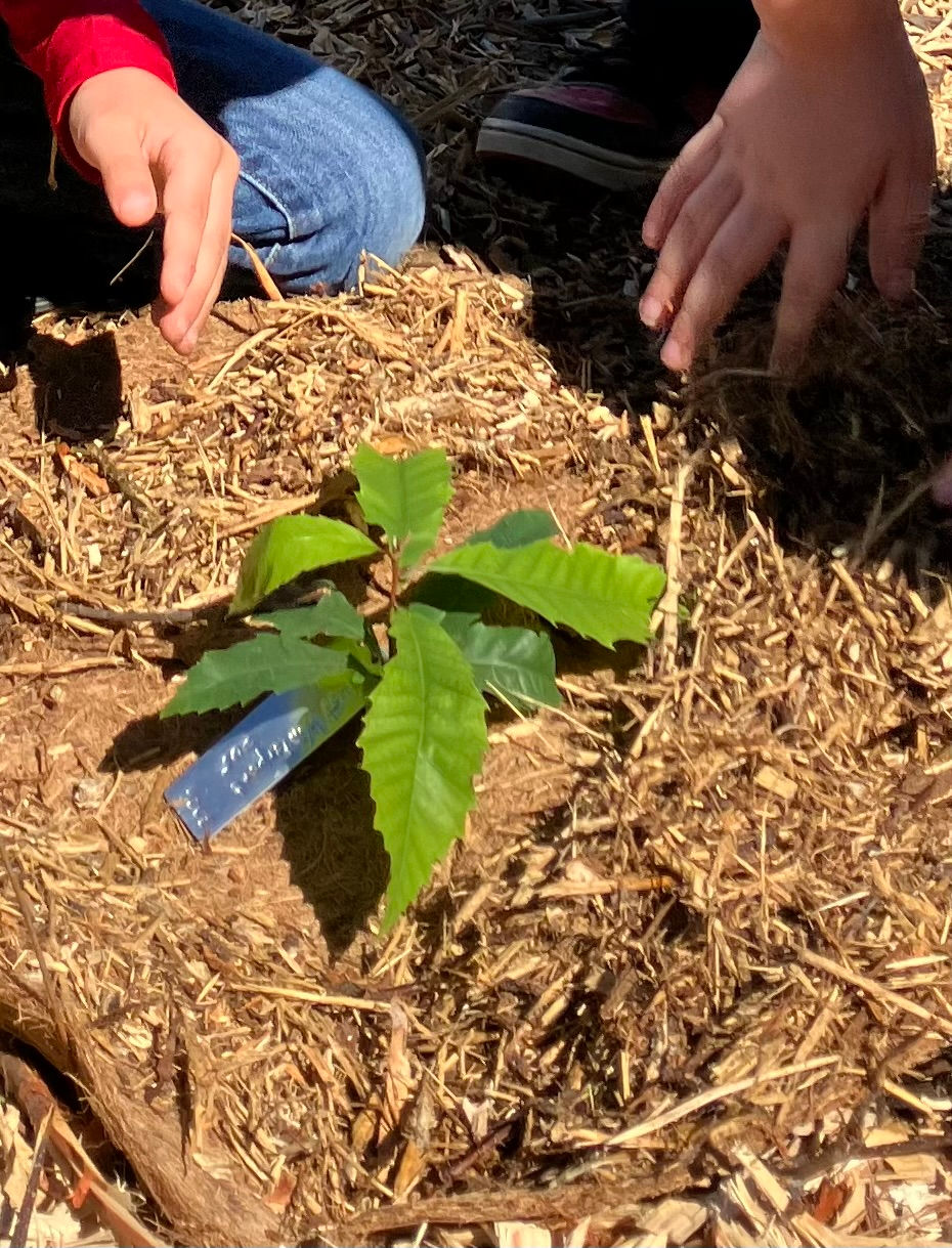 Springtime Happenings at MLLT!