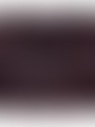 A Rug As Inspiration For An Entire Room