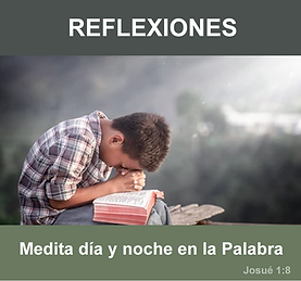 REFLEXIONES.png