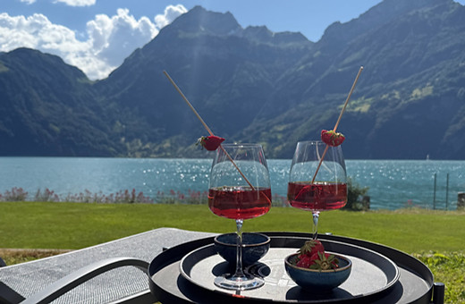 Moderne Ferienvilla Seeblick 5 in Sisikon für bis zu 10 Personen am Vierwaldstättersee