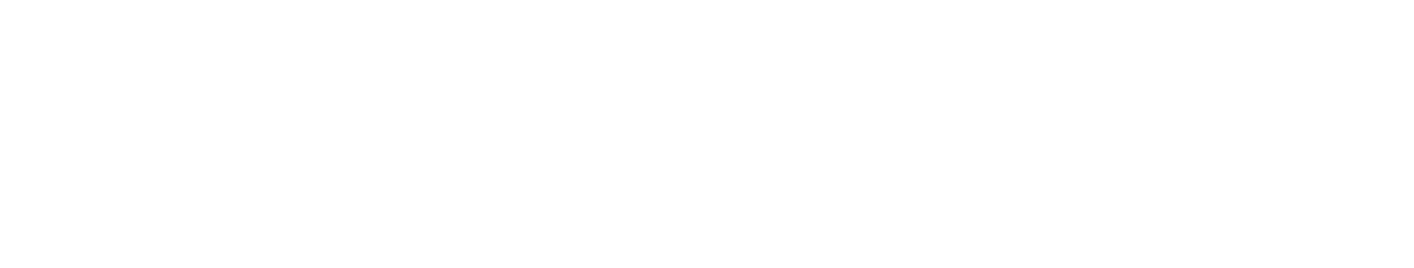AI Developer.png