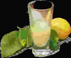 Limoncello DIY Zitronenlikör #vegan #pflanzlich