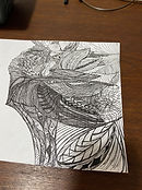 IMG_4168.JPG