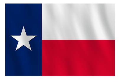 FLECTE (2).png