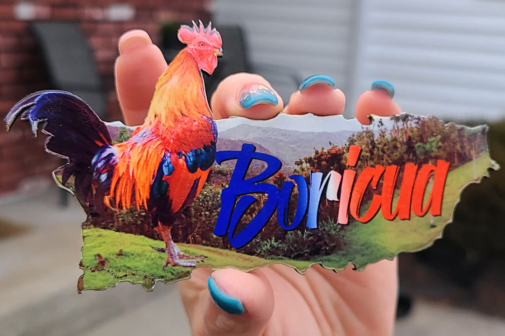 Magneto "Gallo Boricua"