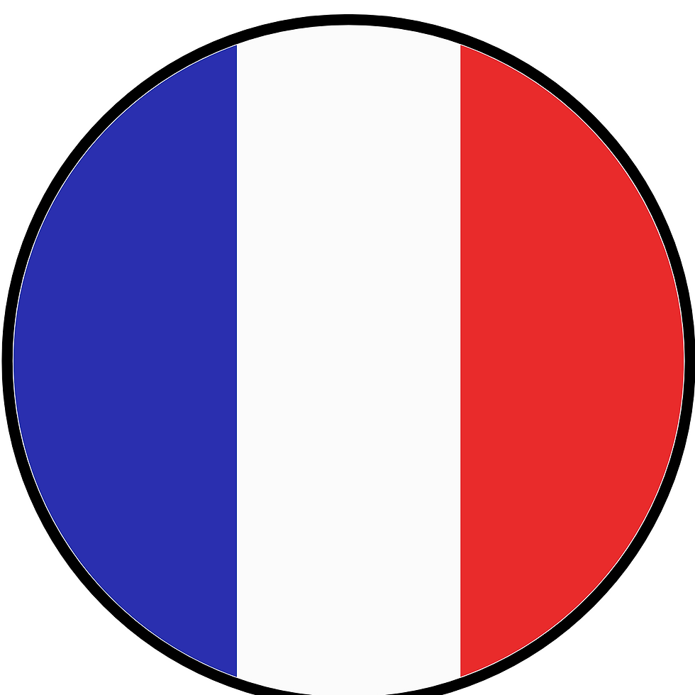 france logo final.png