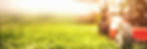 Lawncare_edited.jpg
