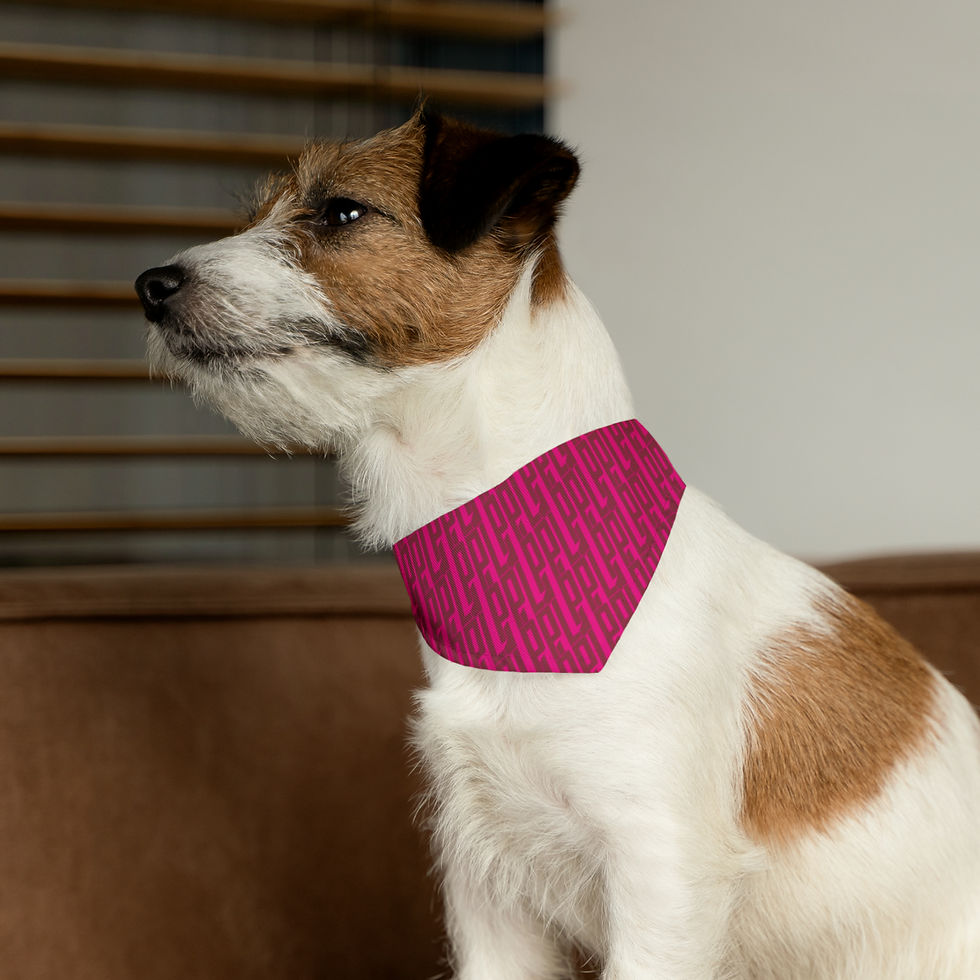 Thumbnail: Providence PUPlic Library Pet Bandana Collar