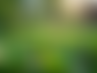 The Importance of Sustainable Living in Today's World