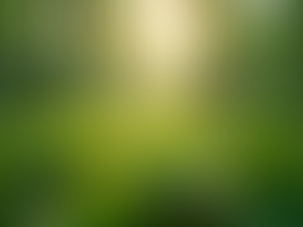 The Importance of Sustainable Living in Today's World