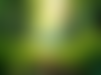 The Importance of Sustainable Living in Today's World