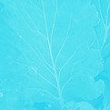 Untitled design (1)_edited_edited_edited