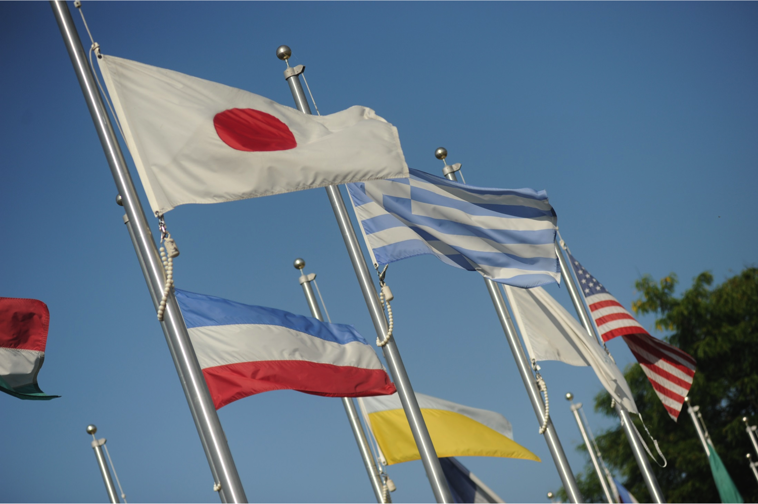 IPG Batavia Flags