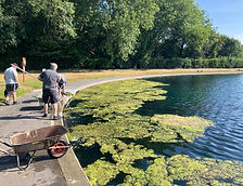 A photo of the algae bllom that affected the pool on 12th july 2025