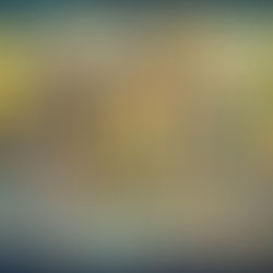 Novas Publicações do Instituto Lumiarte Promovem Acessibilidade na Arte