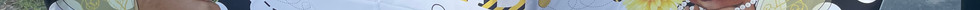IMG_5787.jpeg
