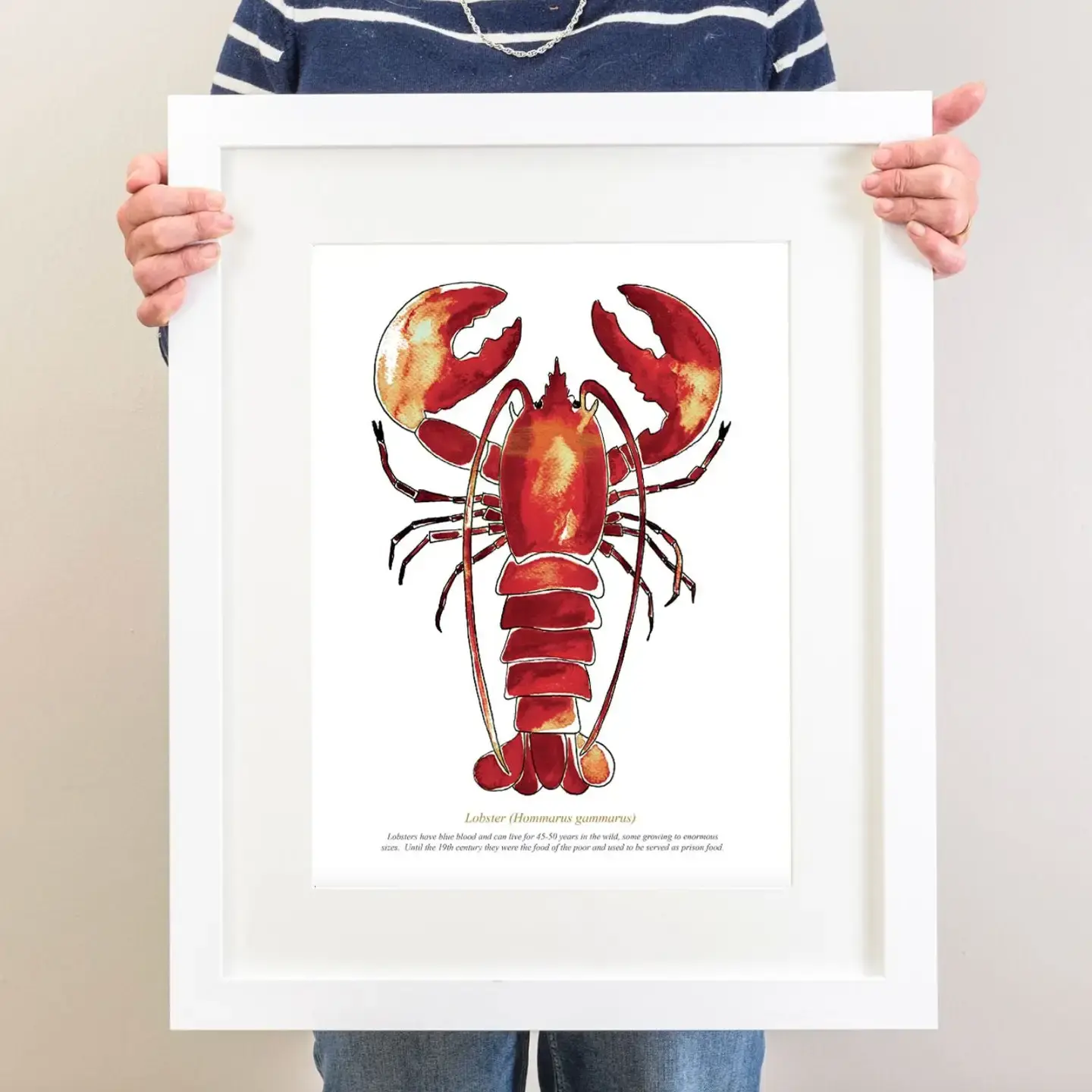 A4 Red Lobster Print