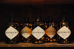 Hendrick's led pile