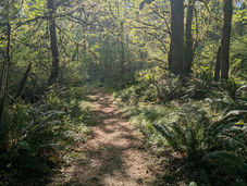 Public Meeting about the Kaiser Woods Trail