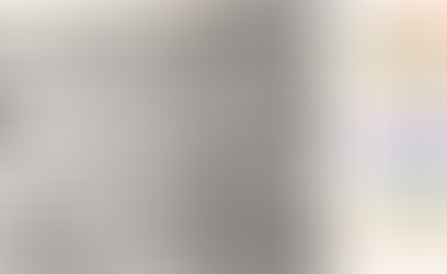 Is the tone of 'Don't Vote for this Man' divisive?