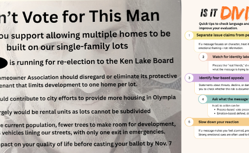 Is the tone of 'Don't Vote for this Man' divisive?