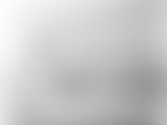 Not So Fun: A Claim-by-Claim Review with Documentation