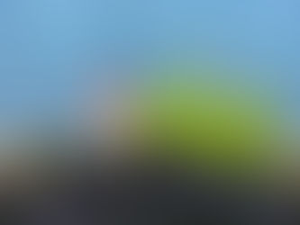 To enjoy the lake in the summer, we need to think about lake care all year long.