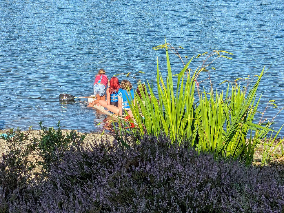 To enjoy the lake in the summer, we need to think about lake care all year long.