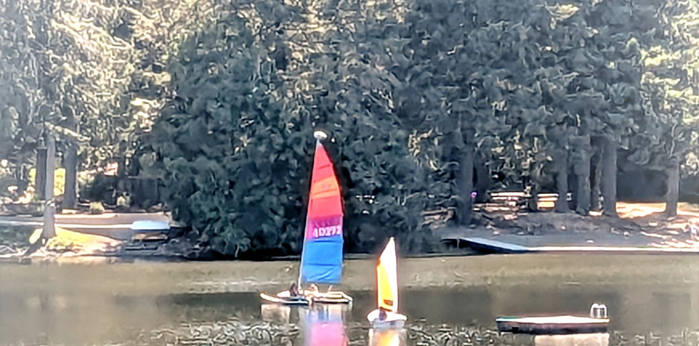 Protecting Ken Lake’s Natural Environment