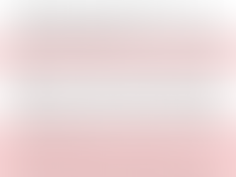 A community comment half covered in red representing the portions blocked during a meeting