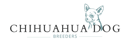 Chihuahua Dog Breeders transparent (600 x 315 px).png
