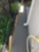 IMG_7982.jpeg