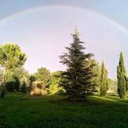 arcobaleno nel parco.jpeg